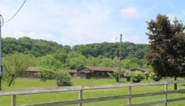 A view of some houses and trees from behind a fence.